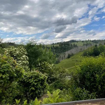 Berghof Arnika Appartement Sankt Andreasberg Buitenkant foto