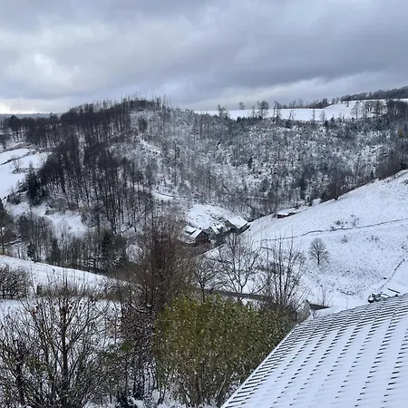Berghof Arnika Appartement Sankt Andreasberg Buitenkant foto