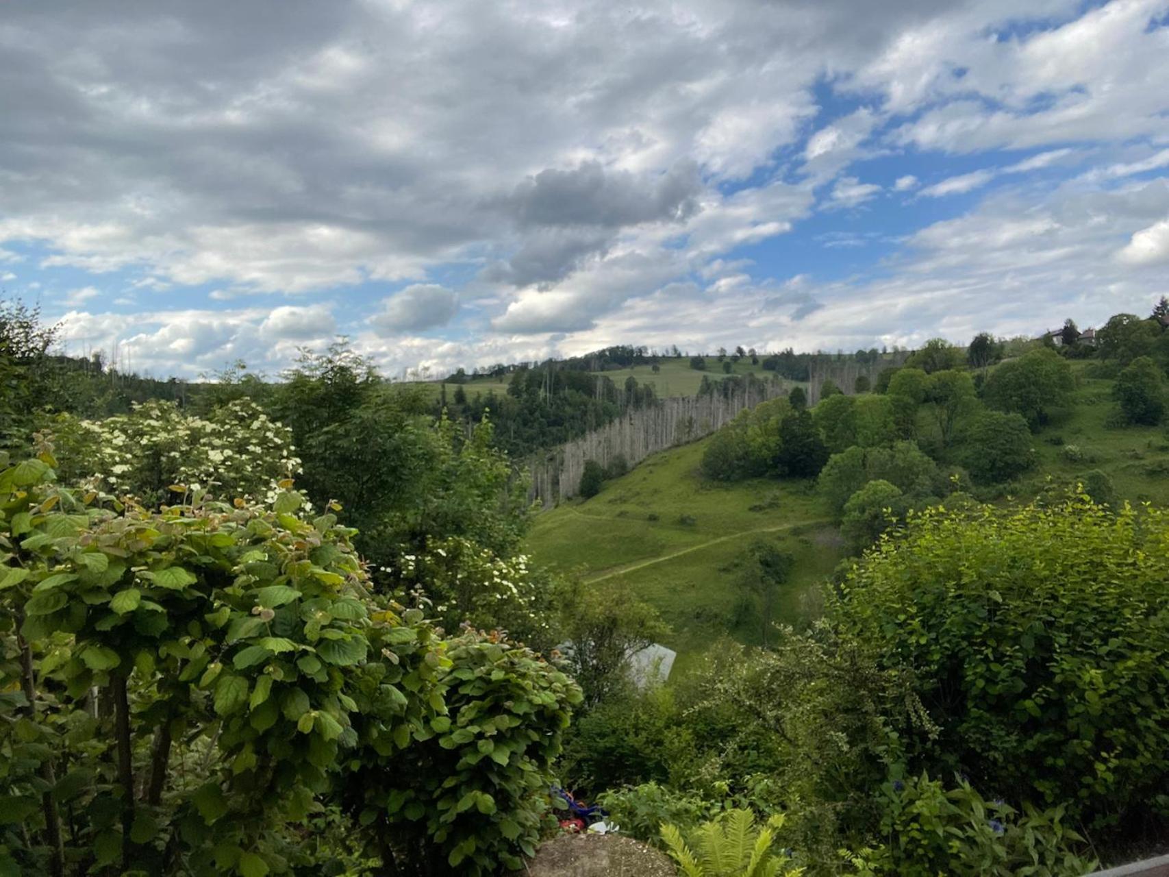 Berghof Arnika Apartment Sankt Andreasberg