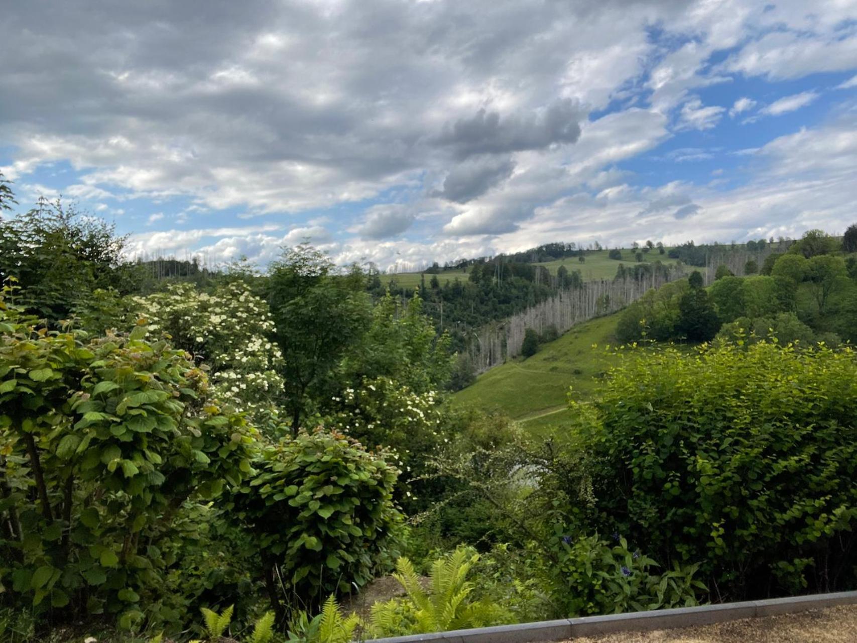 Berghof Arnika